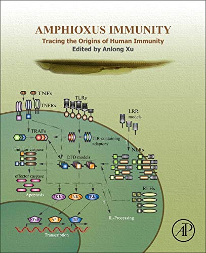 9780128499030-uk Amphioxus Immunity: Tracing the Origins of Human Immunity - Image 1