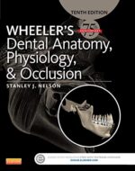 Wheeler`s Dental Anatomy, Physiology and Occlusion