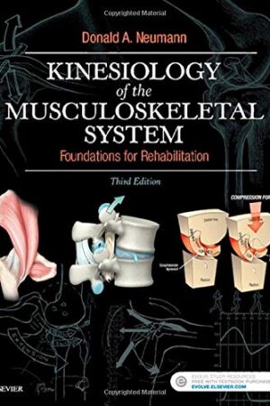 Kinesiology of the Musculoskeletal System: Foundations for Rehabilitation