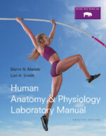 Laboratory Manual for Human Anatomy & Physiology Main Version